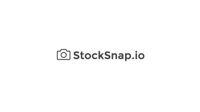 StockSnap.io