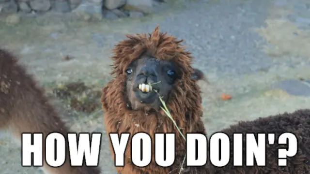 Attirez plus d'attention avec Memes... Attirez plus d'attention avec Memes...