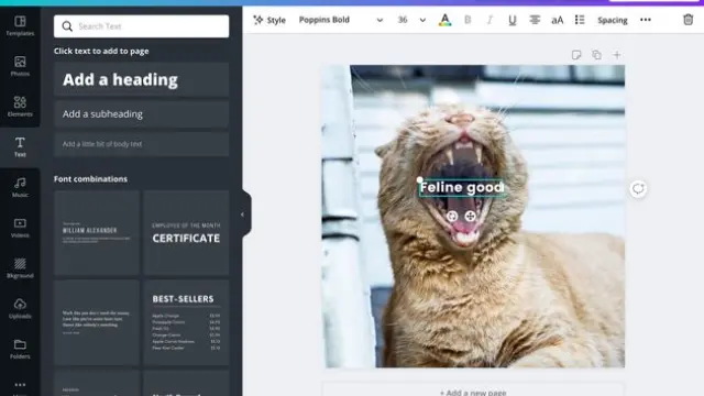Add text to any photo for a quick caption or compelling commentary...