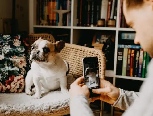 How to get on the Instagram Explore Page 2023!