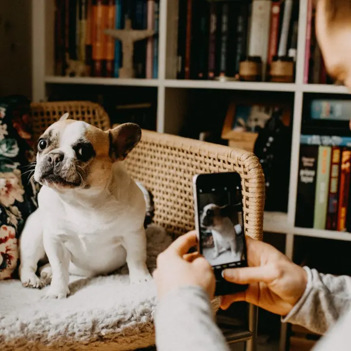 How to get on the Instagram Explore Page 2023! How to get on the Instagram Explore Page 2023!