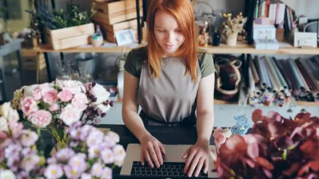 How does Creator Studio work? How does Creator Studio work?