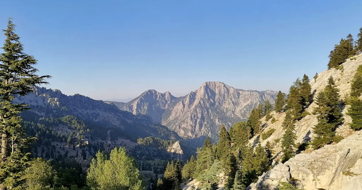 What are the optimal posting times on social media for Adana?