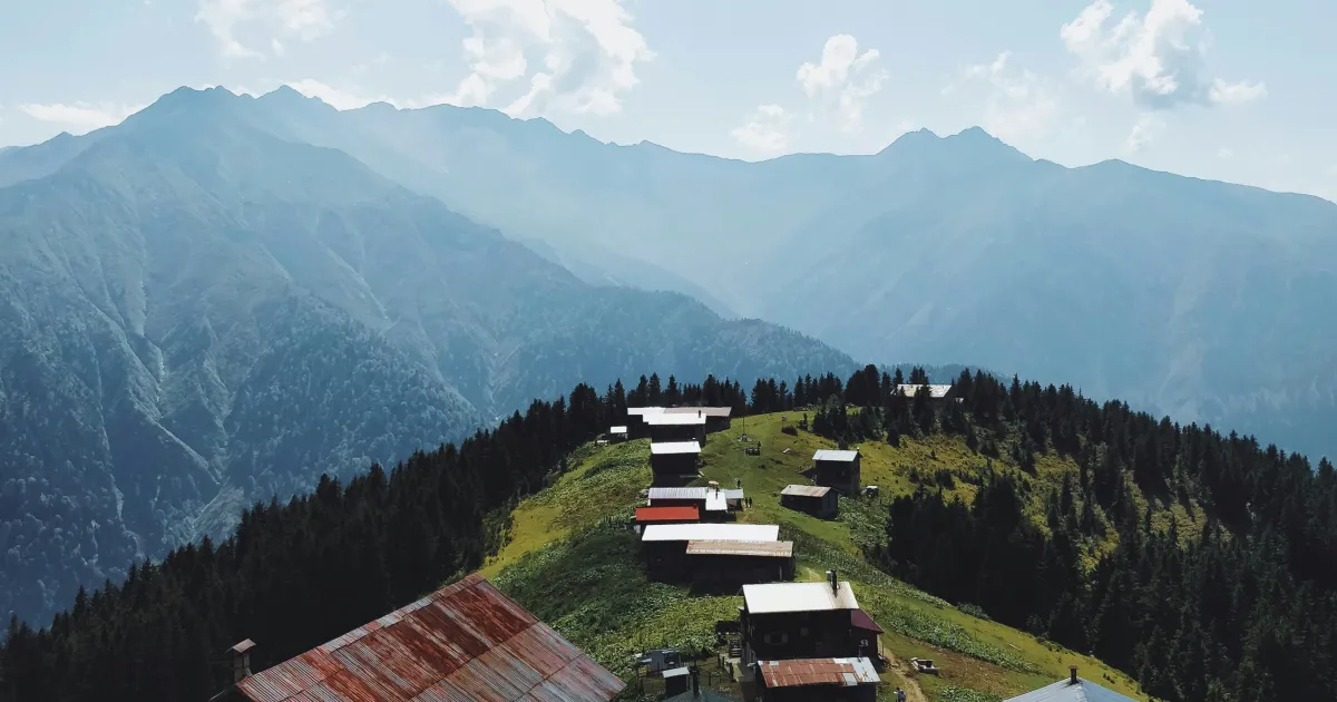 What are the optimal times to post on Rize?